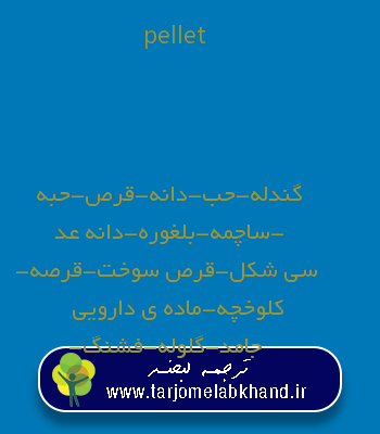 pellet به فارسی